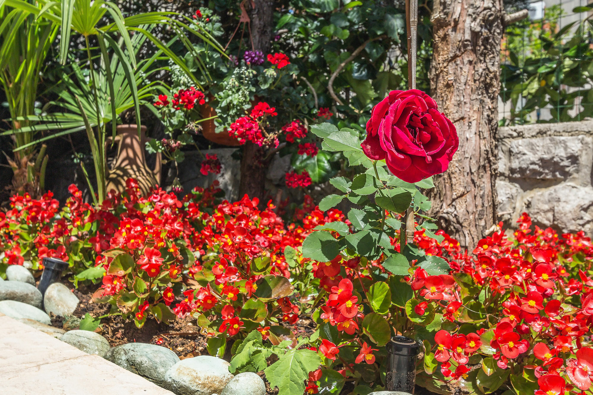 Villa Roses Apartments & Wellness Ičići Exteriör bild